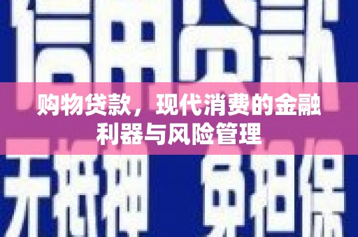 山海关购物贷款，现代消费的金融利器与风险管理