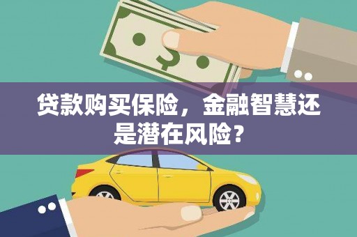 山海关贷款购买保险，金融智慧还是潜在风险？