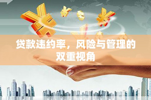 山海关贷款违约率，风险与管理的双重视角