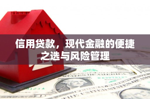 山海关信用贷款，现代金融的便捷之选与风险管理