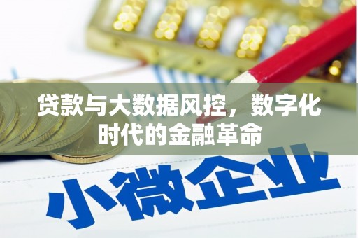 山海关贷款与大数据风控，数字化时代的金融革命