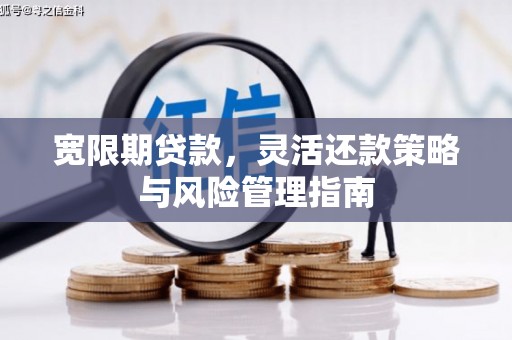 山海关宽限期贷款，灵活还款策略与风险管理指南