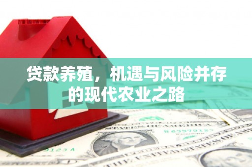山海关贷款养殖，机遇与风险并存的现代农业之路