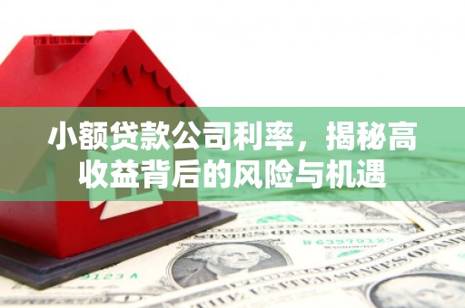 山海关小额贷款公司利率，揭秘高收益背后的风险与机遇