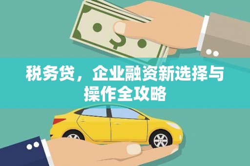 山海关税务贷，企业融资新选择与操作全攻略