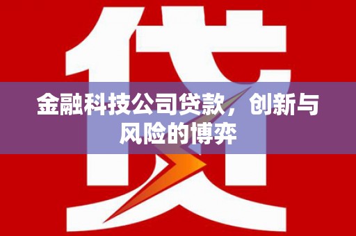 山海关金融科技公司贷款，创新与风险的博弈