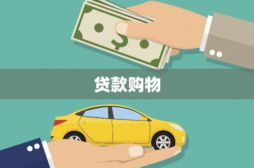 山海关贷款购物