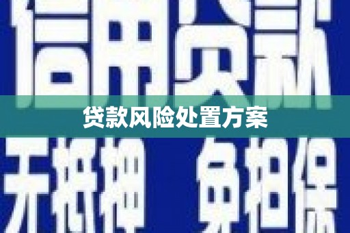 山海关贷款风险处置方案