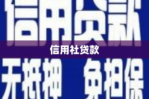 山海关信用社贷款