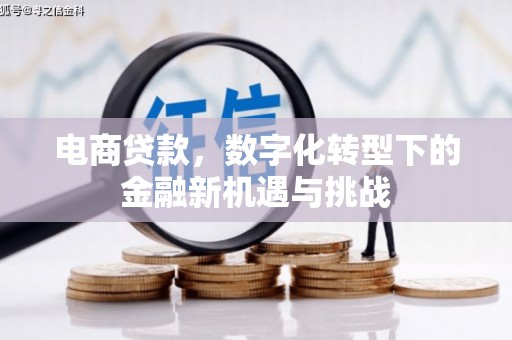 山海关电商贷款，数字化转型下的金融新机遇与挑战