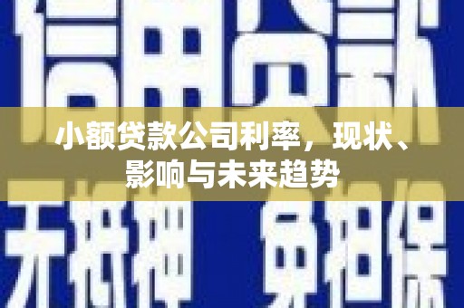 山海关小额贷款公司利率，现状、影响与未来趋势