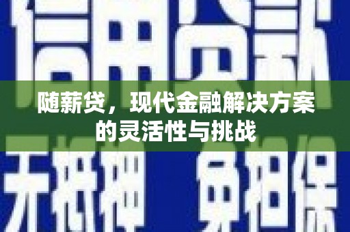 山海关随薪贷，现代金融解决方案的灵活性与挑战