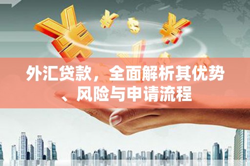 山海关外汇贷款，全面解析其优势、风险与申请流程