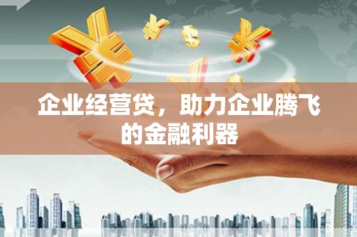 山海关企业经营贷，助力企业腾飞的金融利器