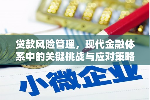 山海关贷款风险管理，现代金融体系中的关键挑战与应对策略