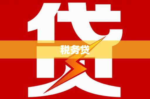 山海关税务贷