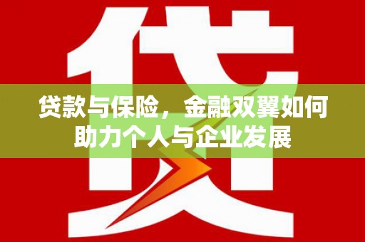 山海关贷款与保险，金融双翼如何助力个人与企业发展
