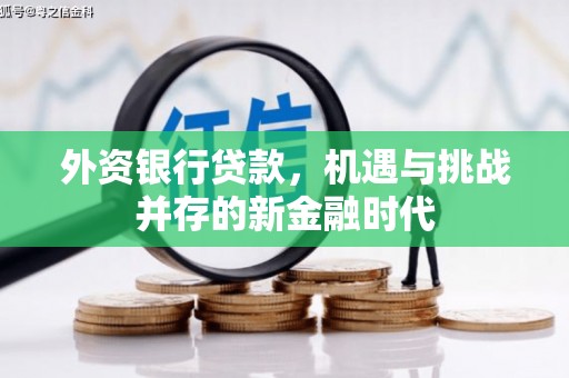 山海关外资银行贷款，机遇与挑战并存的新金融时代