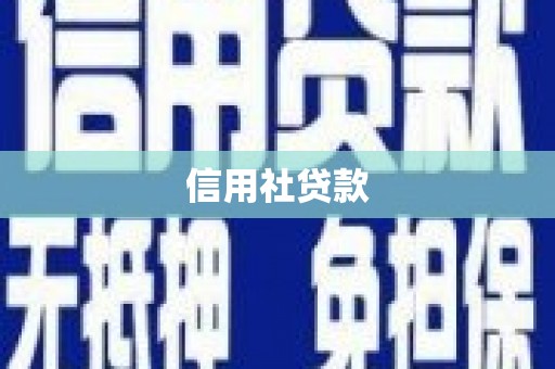 山海关信用社贷款