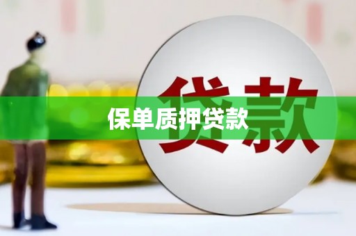 山海关保单质押贷款