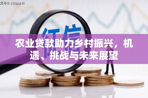 山海关农业贷款助力乡村振兴，机遇、挑战与未来展望