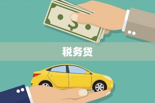 山海关税务贷