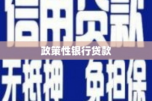 山海关政策性银行贷款