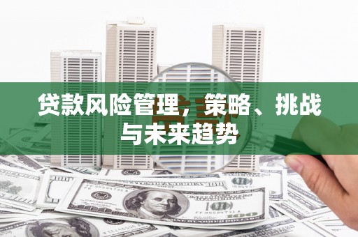 山海关贷款风险管理，策略、挑战与未来趋势
