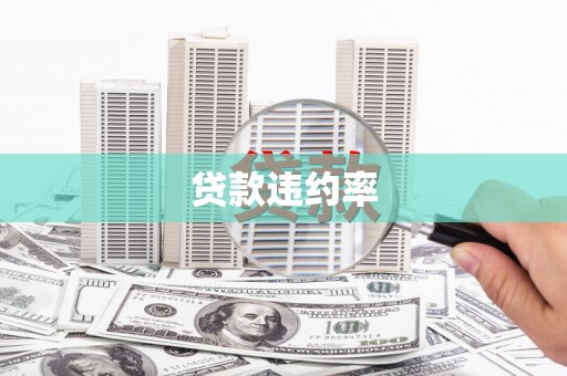 山海关贷款违约率