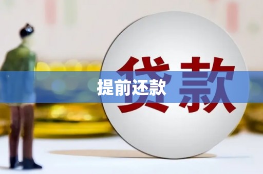 山海关提前还款
