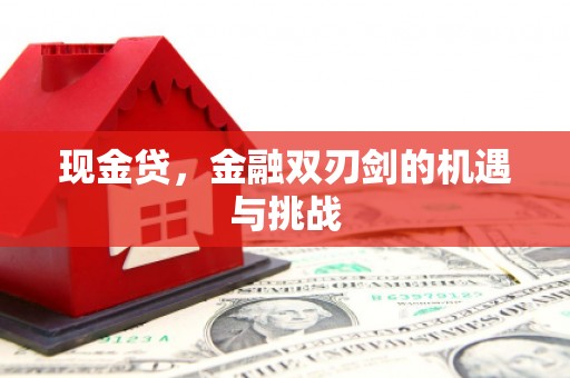 山海关现金贷，金融双刃剑的机遇与挑战