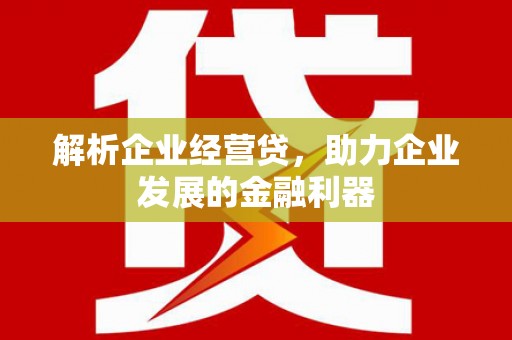 山海关解析企业经营贷，助力企业发展的金融利器