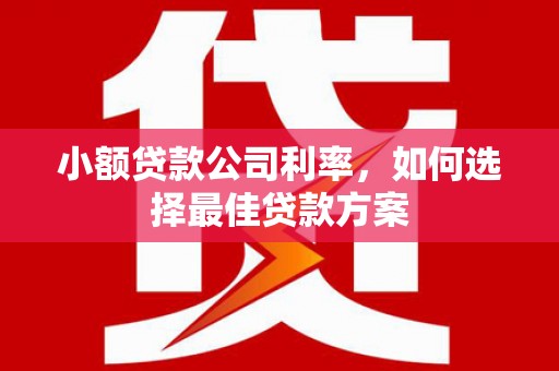 山海关小额贷款公司利率，如何选择最佳贷款方案