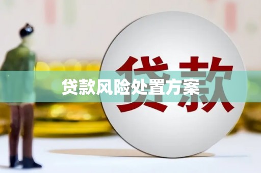 山海关贷款风险处置方案