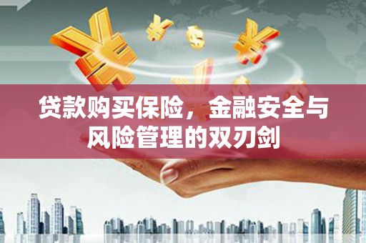 山海关贷款购买保险，金融安全与风险管理的双刃剑