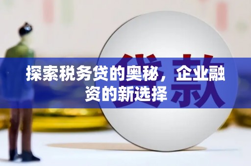 山海关探索税务贷的奥秘，企业融资的新选择