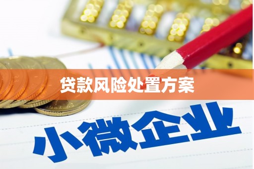 山海关贷款风险处置方案