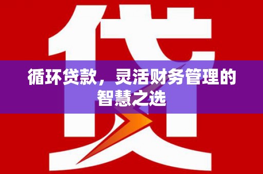山海关循环贷款，灵活财务管理的智慧之选