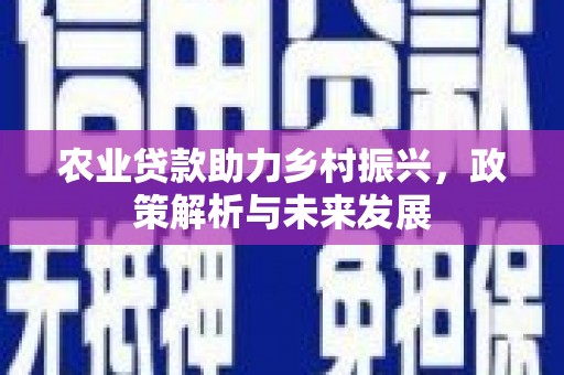 山海关农业贷款助力乡村振兴，政策解析与未来发展