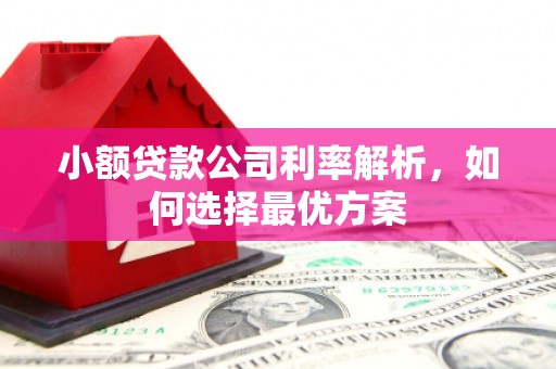 山海关小额贷款公司利率解析，如何选择最优方案