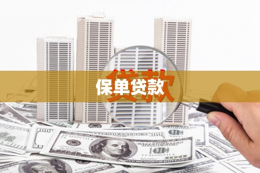 山海关保单贷款