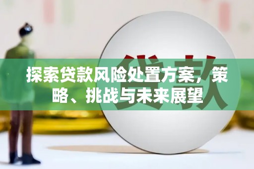 山海关探索贷款风险处置方案，策略、挑战与未来展望