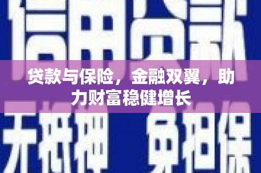 山海关贷款与保险，金融双翼，助力财富稳健增长