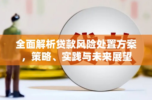 山海关全面解析贷款风险处置方案，策略、实践与未来展望