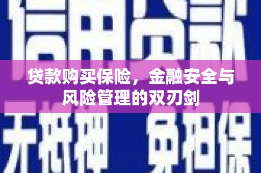 山海关贷款购买保险，金融安全与风险管理的双刃剑