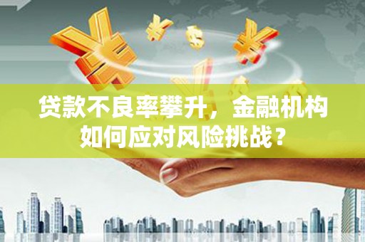 山海关贷款不良率攀升，金融机构如何应对风险挑战？