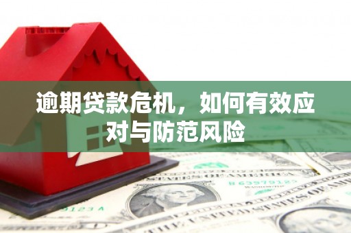 山海关逾期贷款危机，如何有效应对与防范风险