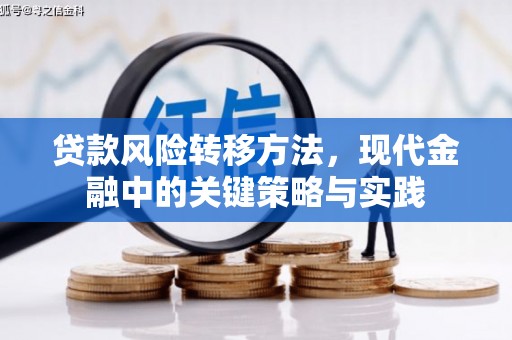 山海关贷款风险转移方法，现代金融中的关键策略与实践