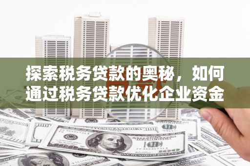 山海关探索税务贷款的奥秘，如何通过税务贷款优化企业资金流