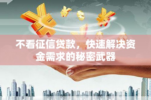 山海关不看征信贷款，快速解决资金需求的秘密武器